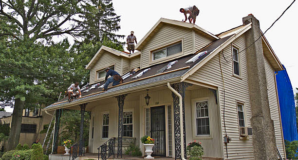Best Storm Damage Roof Repair  in Gentry, AR
